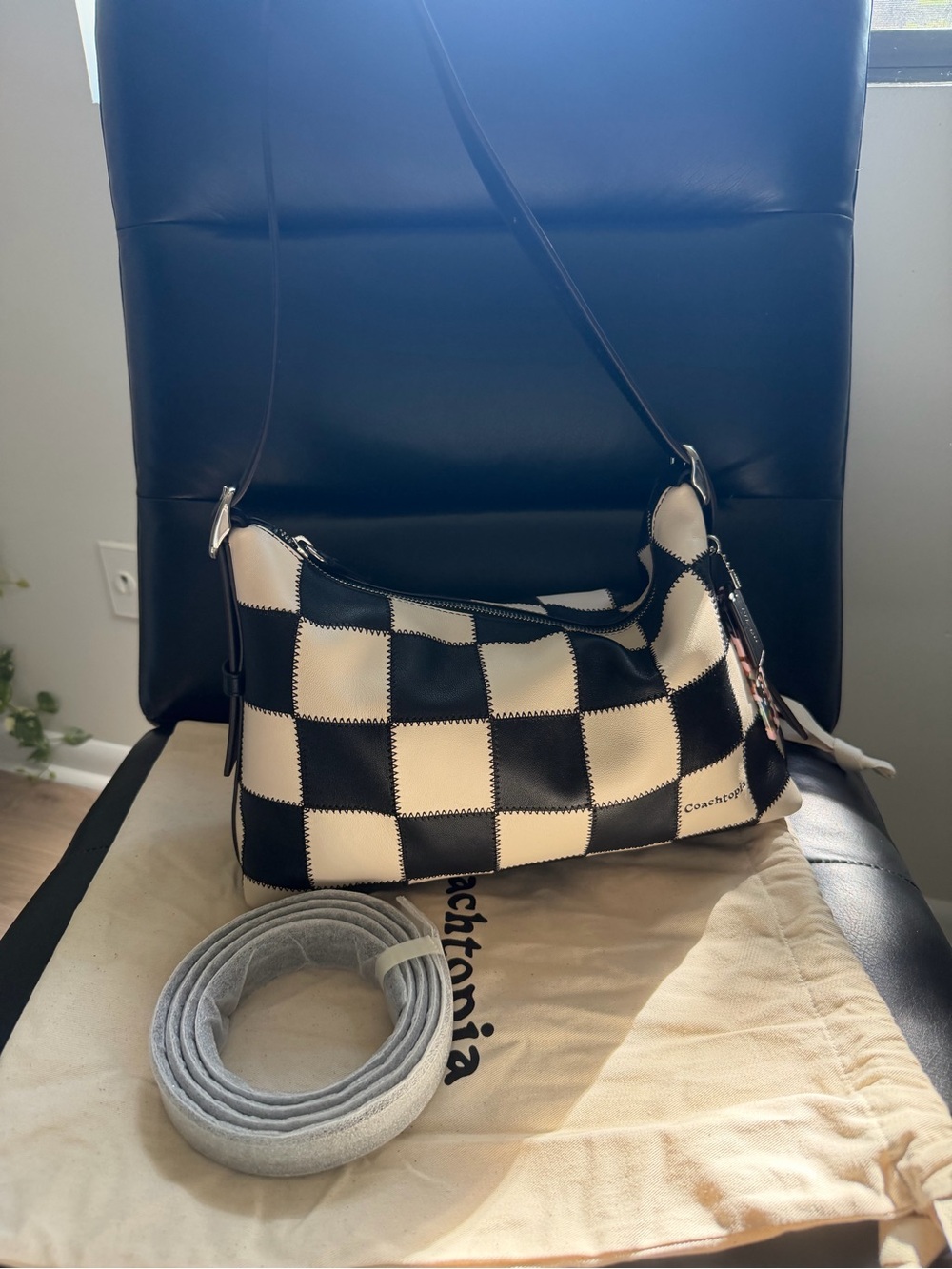 Coach Coachtopia Alter/Ego Shoulder Bag